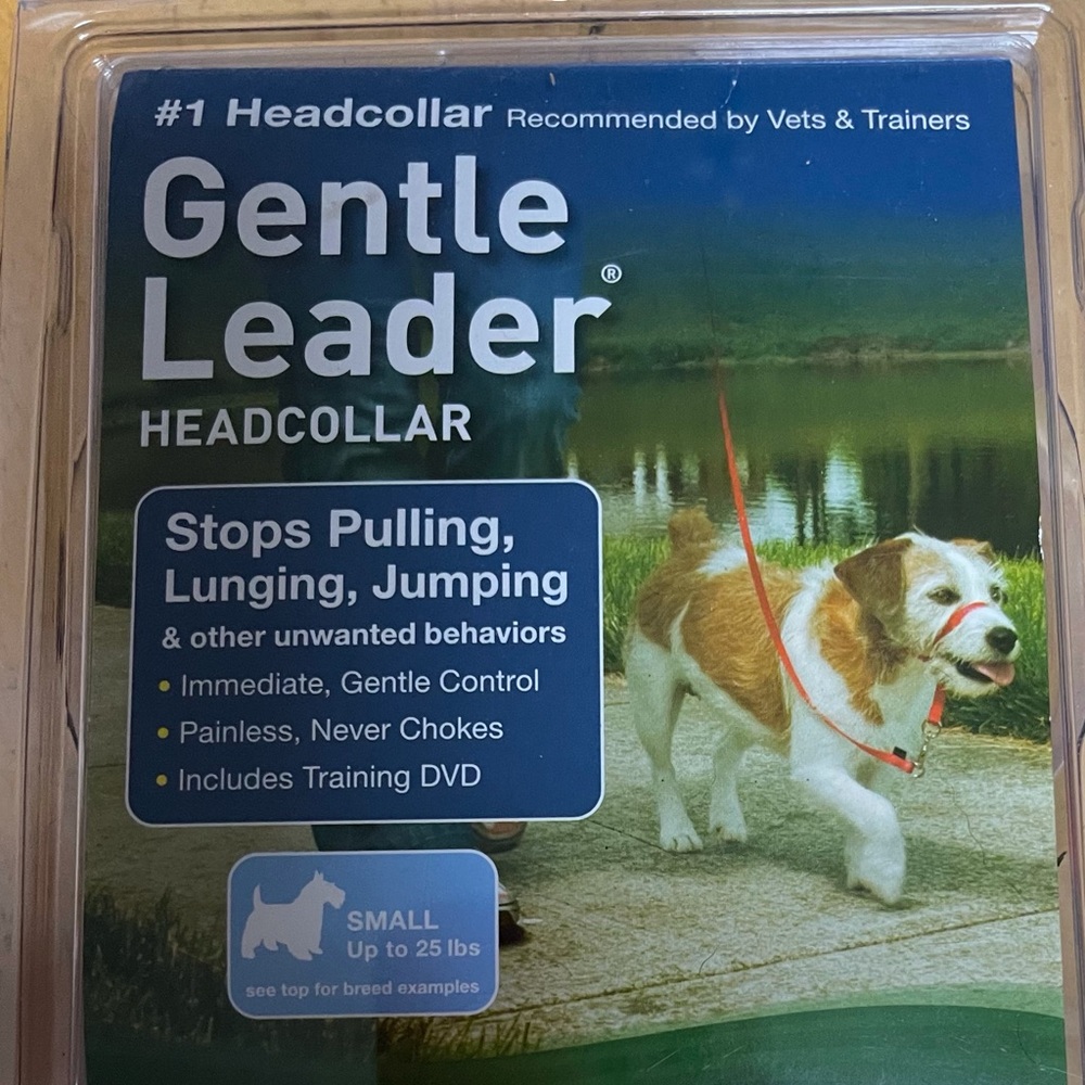 Small gentle leader for dogs